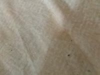Sesso e divertimento