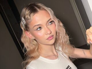 strippercam FelicaTapper