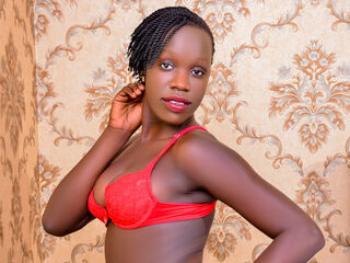 BrianaJohnson web cam program - Webcam Studio
